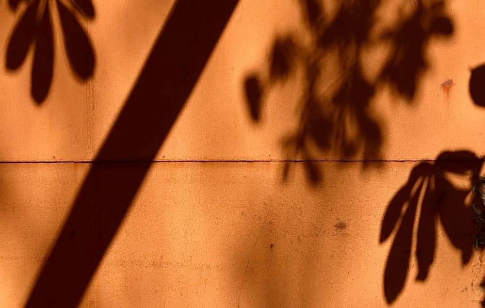Shadow Play